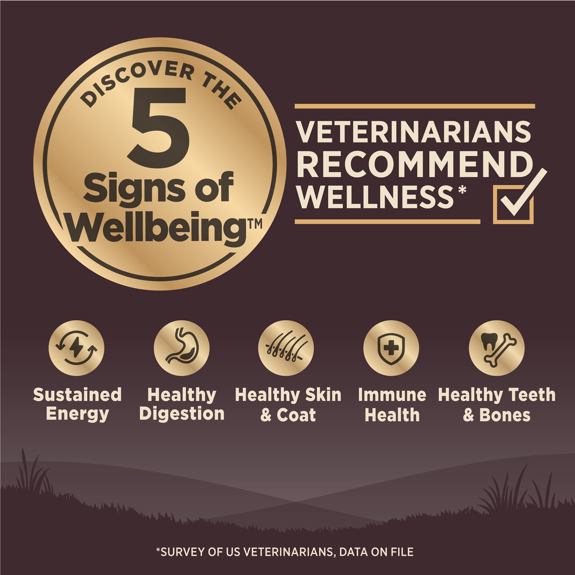 5 Signs of Wellbeing, US veterinarians recommend wellness - waku waku pets