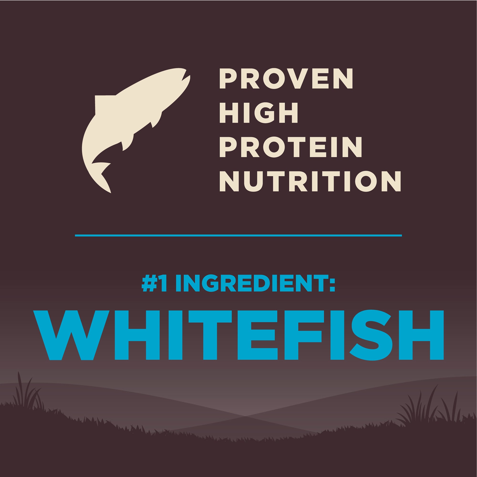 1st  ingredient whitefish