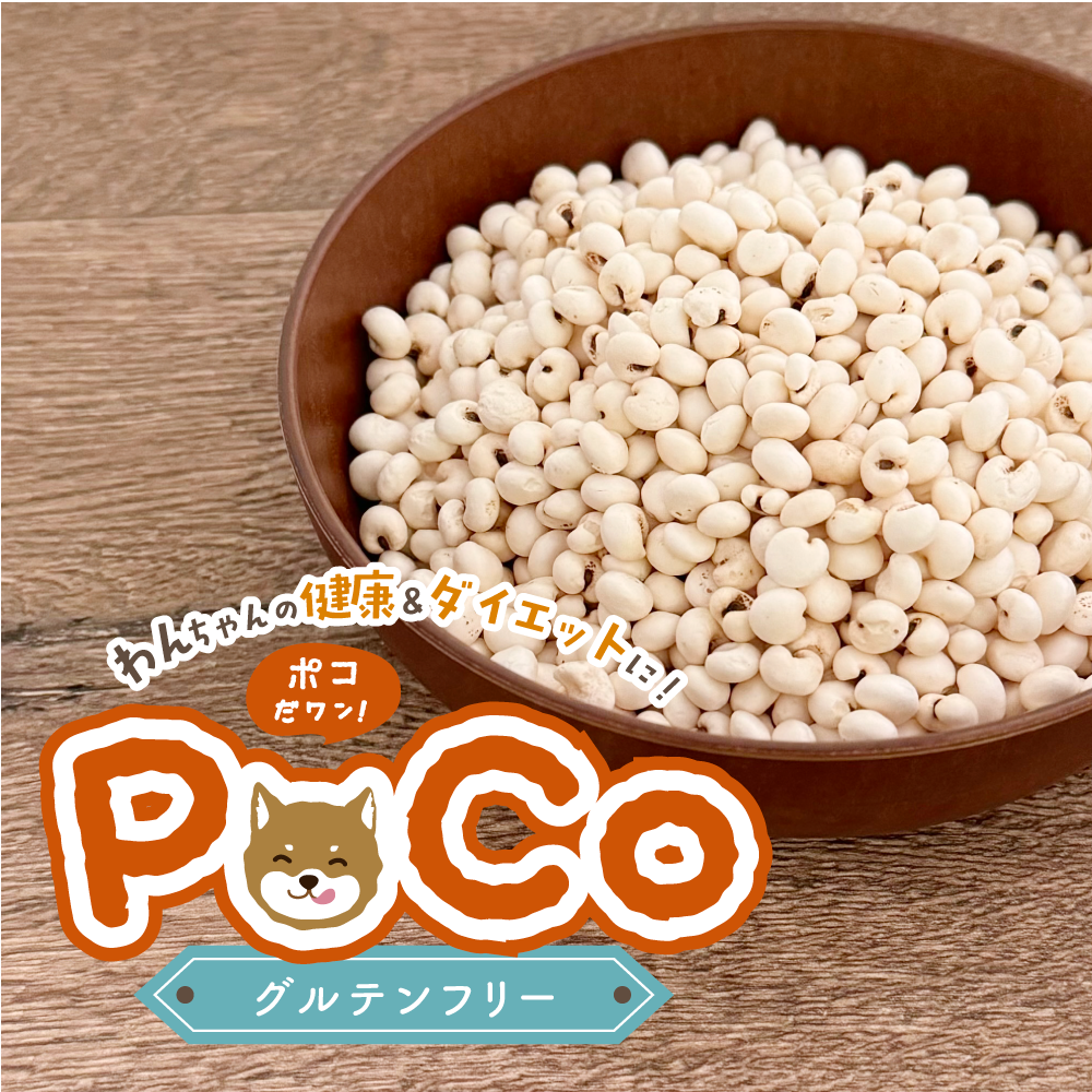 From Japan POCO White Sorghum Dog Snack - Waku Waku Pets.