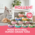 Holuah! Grain Free Wet Cat Food Trial Bundle of 10 cans