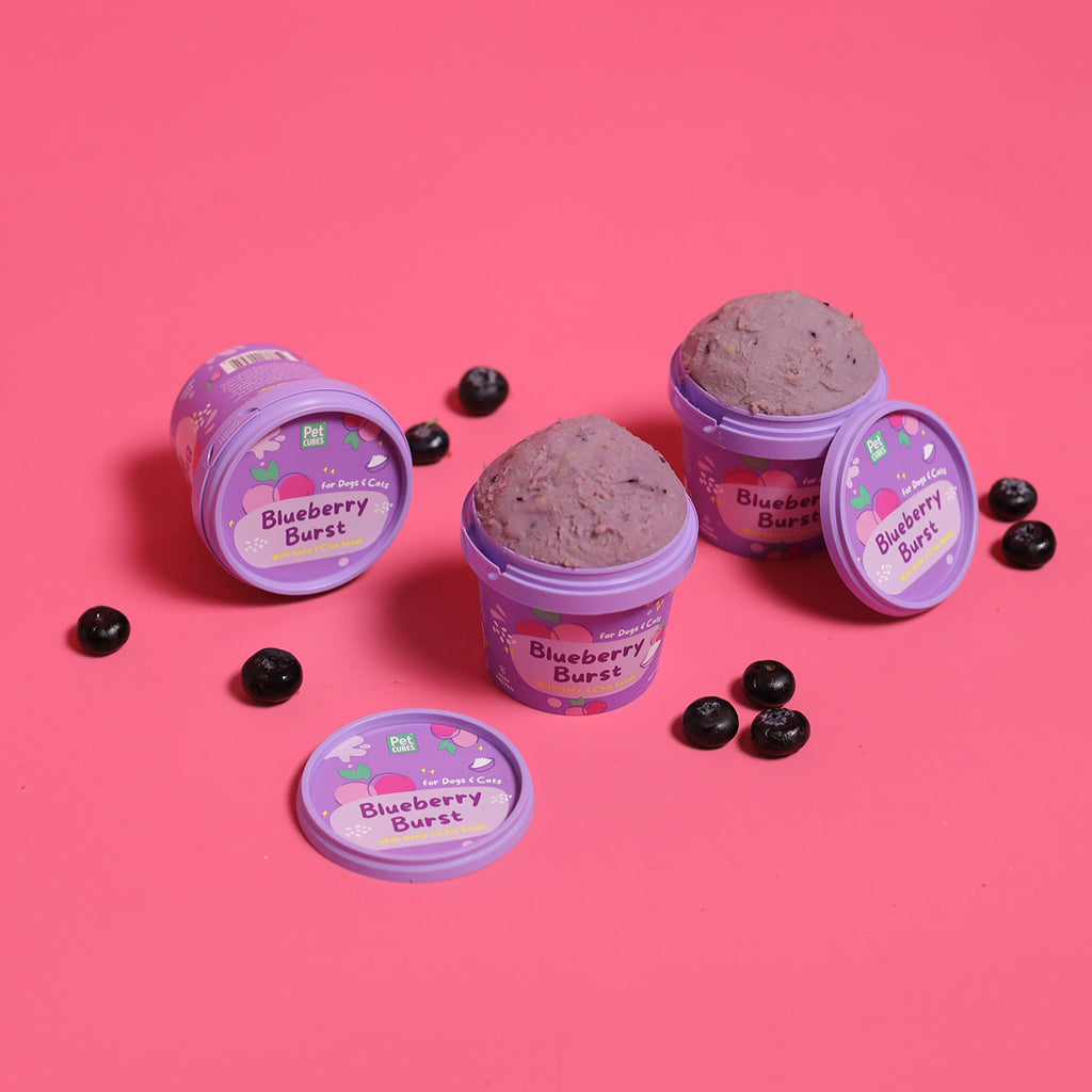 PetCubes Ice Cream for Dogs & Cats - Blueberry Burst 3.5oz