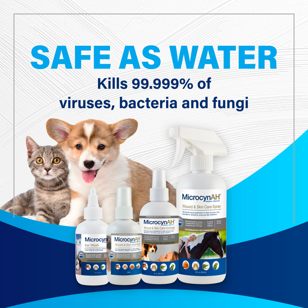Four MicrosynAH pet wound and skin care products displayed against a promotional graphic background with a cat and dog. The text reads 'SAFE AS WATER' and 'Kills 99.