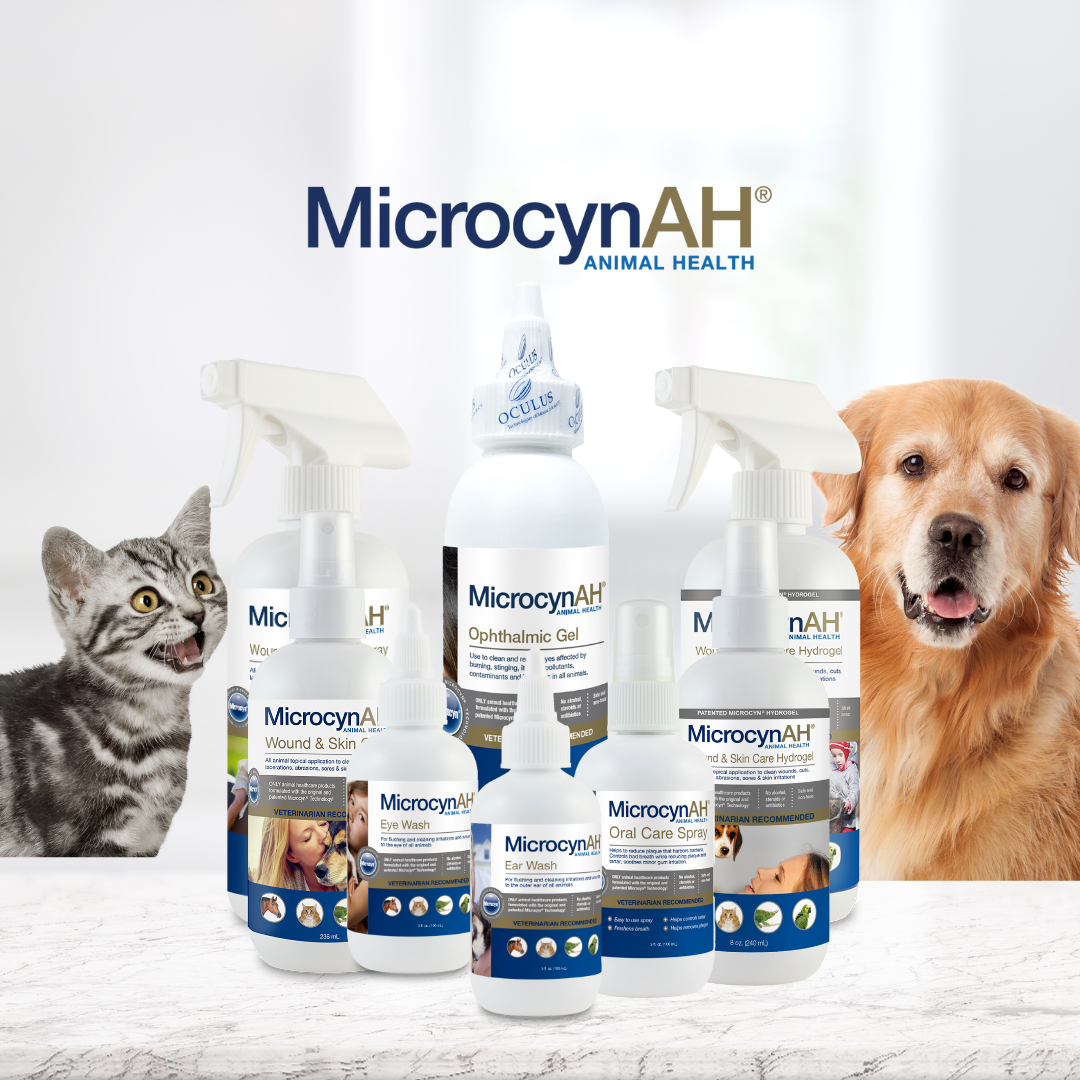 A group of MicrocynAH Animal Health pet care products arranged on a light marble surface, with a gray tabby cat on the left and a golden retriever on the right. The products include ophthalmic gel, oral care spray, and vision & skin care bottles and sprays.
