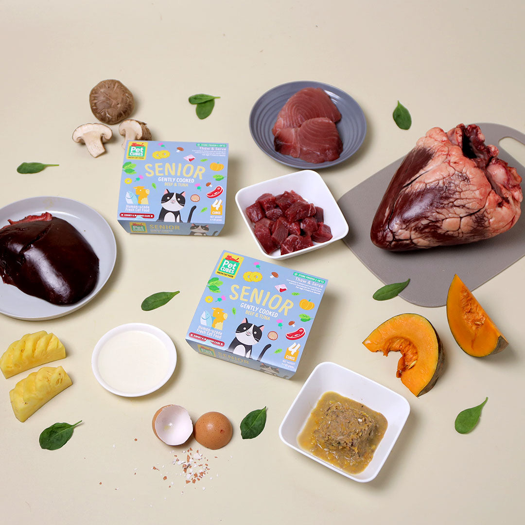 ingredients including heart, liver, and pumpkin on a beige background with 'senior gently cooked chicken duck boxes.
