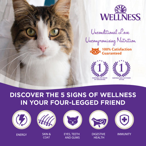 Bundle of 12 Wellness CORE Tiny Tasters Flaked Tuna Salmon Natural Grain-Free Wet Cat Food 50g