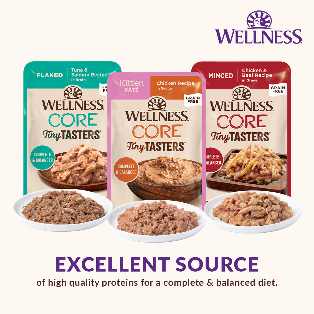 Bundle of 12 Wellness CORE Tiny Tasters Minced Chicken Gravy Grain-Free Wet Cat Food 50g