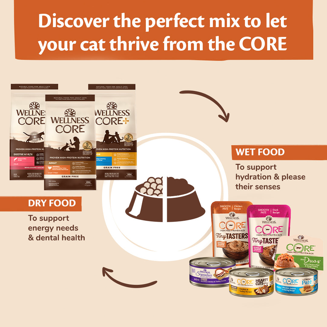 Bundle of 12 Wellness CORE Tiny Tasters Minced Chicken Gravy Grain-Free Wet Cat Food 50g