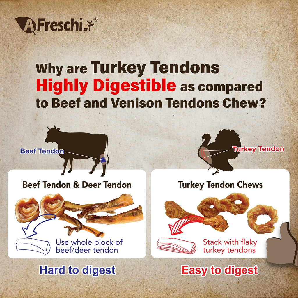 AFreschi Natural Turkey Tendon Pretzel Dog Treat Chew - Medium (M)
