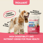 Holuah! Freeze Dried Raw Dog Food - Beef