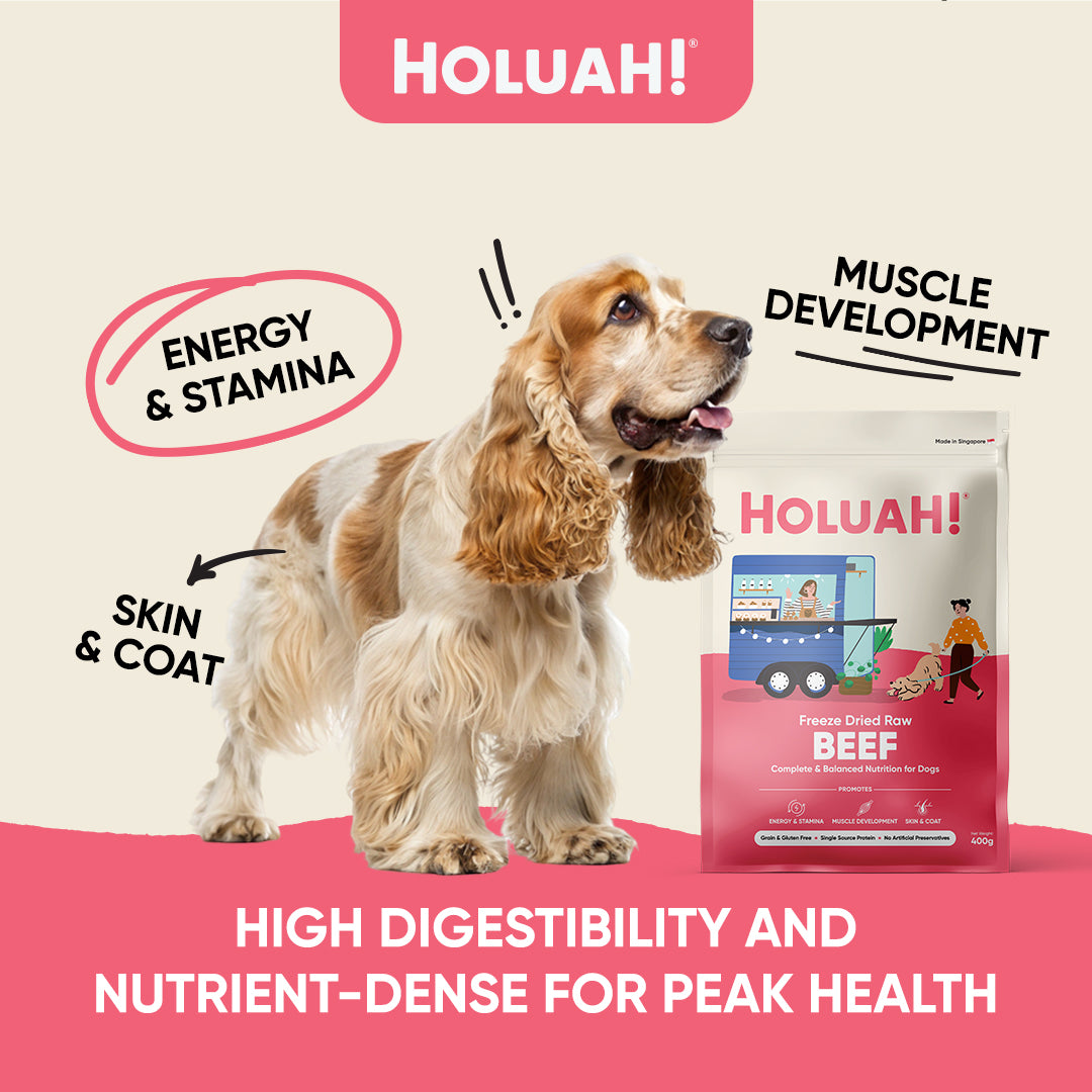 Holuah! Freeze Dried Raw Dog Food - Beef