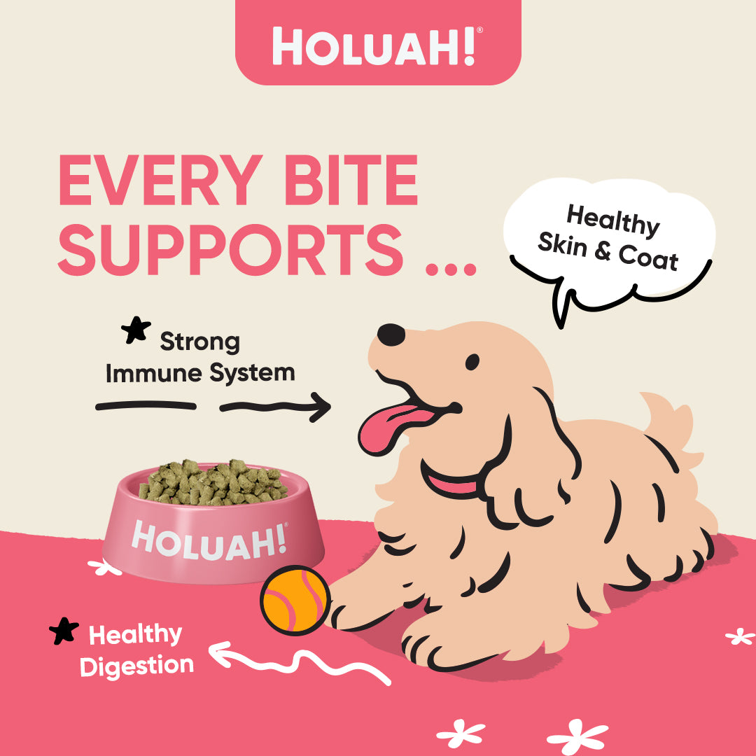 Holuah! Complete & Balanced Freeze Dried Raw Dog Food - 4 recipes