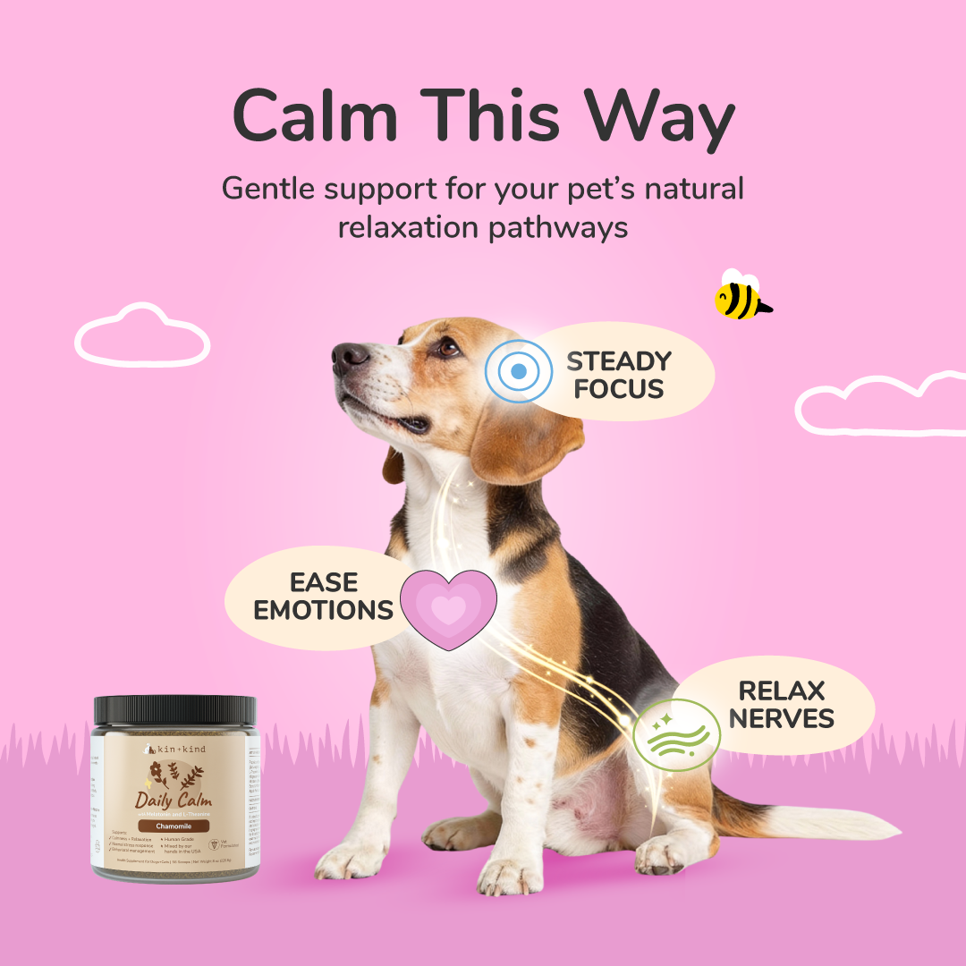 Kin + Kind Daily Calm Supplement for Dogs & Cats - 2 sizes