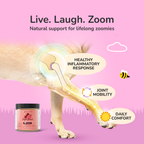 kin+kind hip and joint benefits for joint issues in dogs and cats.