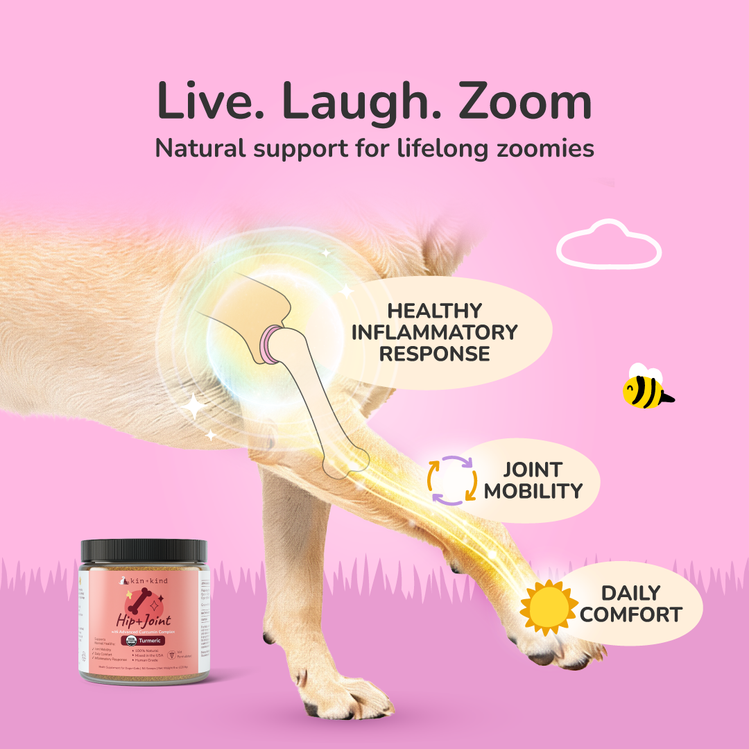 kin+kind hip and joint benefits for joint issues in dogs and cats.
