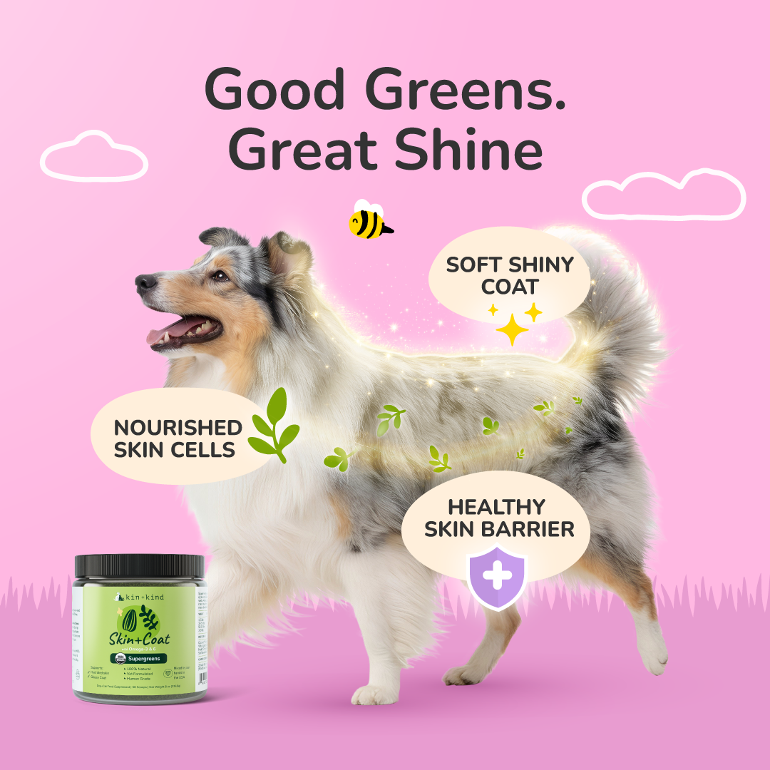 Kin + Kind Organic Skin+Coat Supplement for Dogs & Cats - 2 sizes