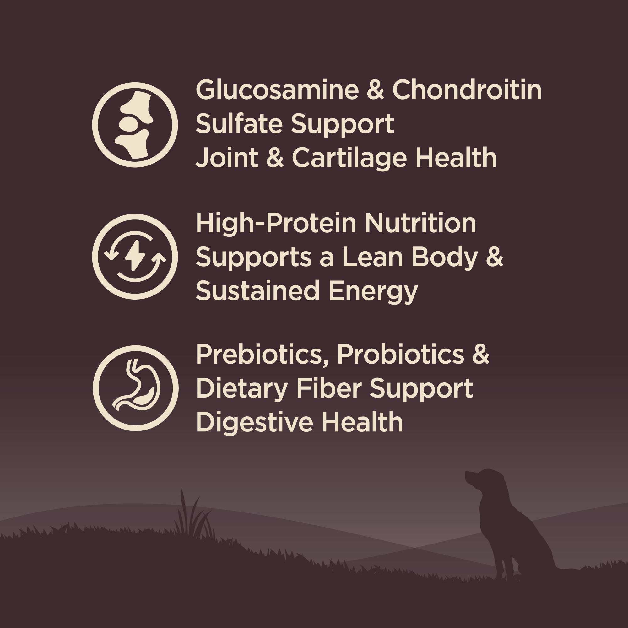 Wellness Core Age Advantage Adult (Senior) Dry Dog Food Benefits