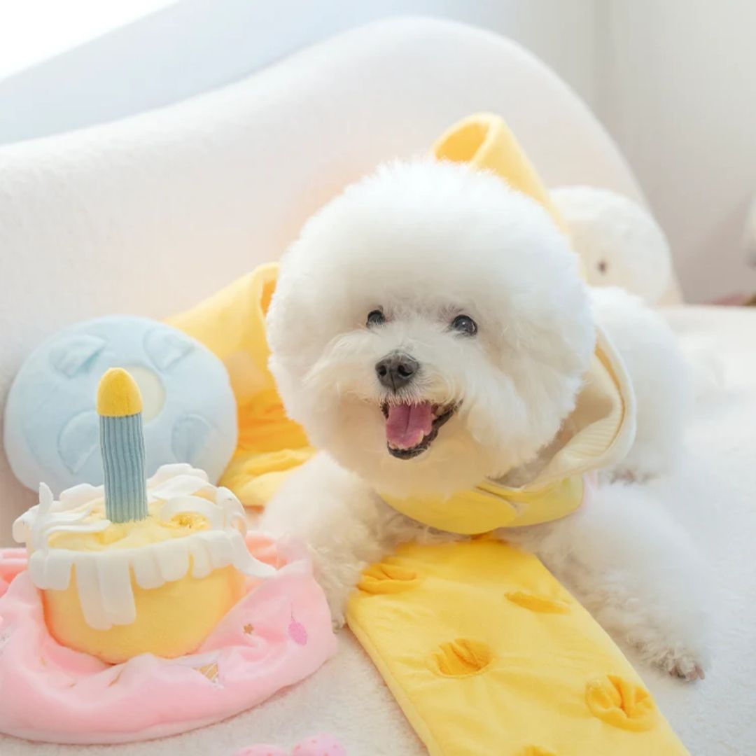 Cotties & Co x Raisingwell Birthday Cake Snuffle Enrichment Dog Toy | Happy Barkday Gift