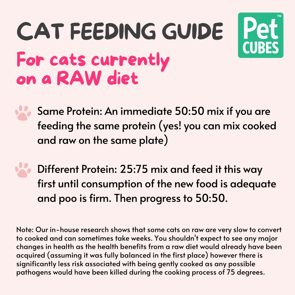 Cat feeding guide for raw diet from Pet Cubes on a white background