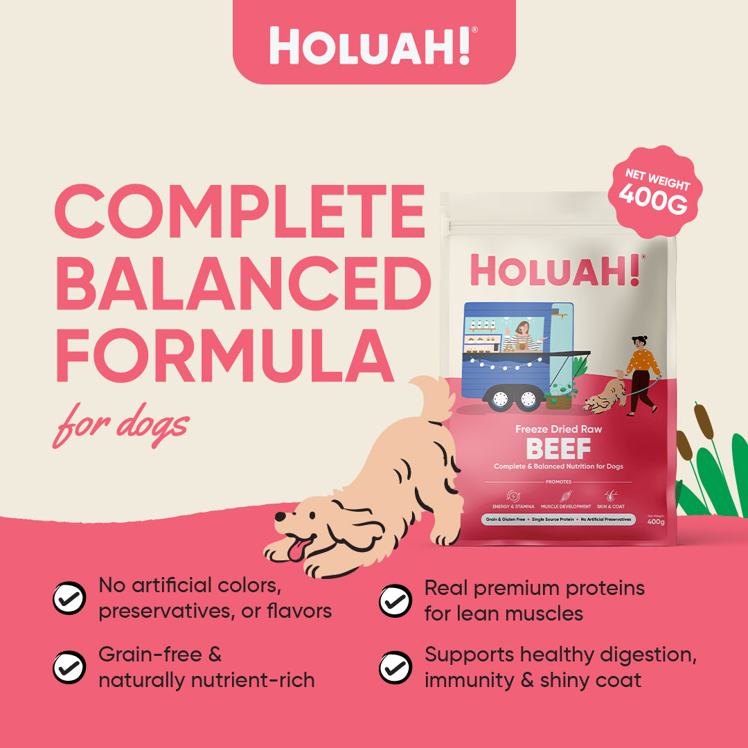 Holuah! Freeze Dried Raw Dog Food - Beef