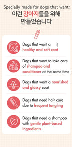 Kundal Korean Dog Shampoo for detangling curly hair - Waku Waku Pets. 