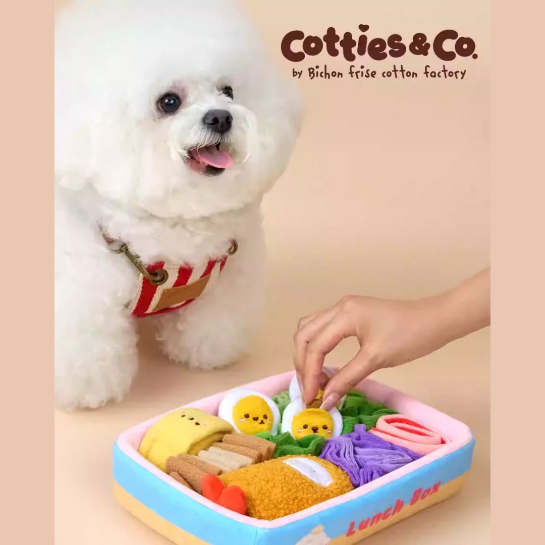Cotties & Co Snuffle Lunch Box Toy for Dogs and Cats | Interactive Nosework