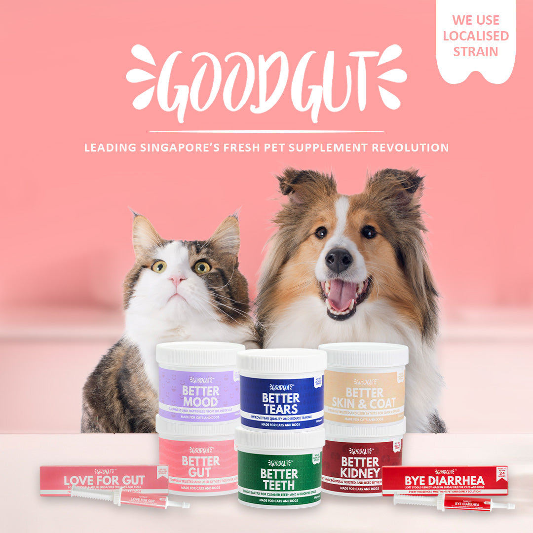 Good Gut Bye Diarrhea Supplement Gel for Cats and Dogs within 24 Hours