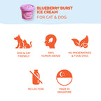  Blueberry Burst Ice Cream for Cat & Dog, showing a purple tub of ice cream with benefits like 100% human-grade, no preservatives & food dyes, no lactose, and made in Singapore.