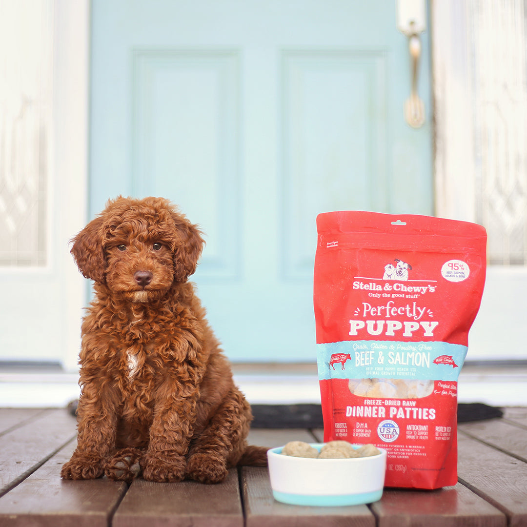 Stella & Chewy's Freeze-Dried Dog Dinner Patties | Perfectly Puppy (Chicken & Salmon) 14oz