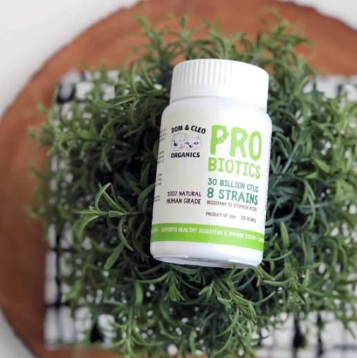 Bottle of Dom & Cleo Organics Probiotics on a wooden surface with greenery