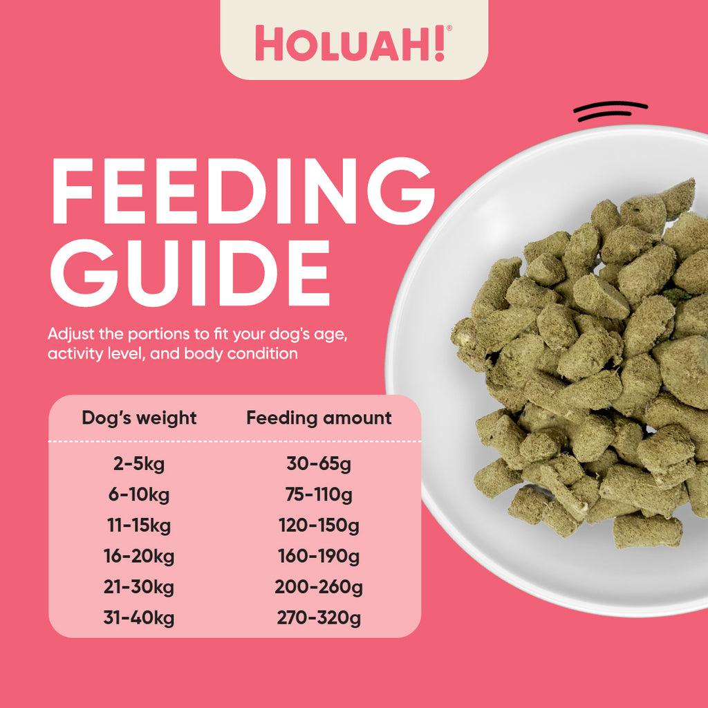 Holuah! Complete & Balanced Freeze Dried Raw Dog Food - 4 recipes
