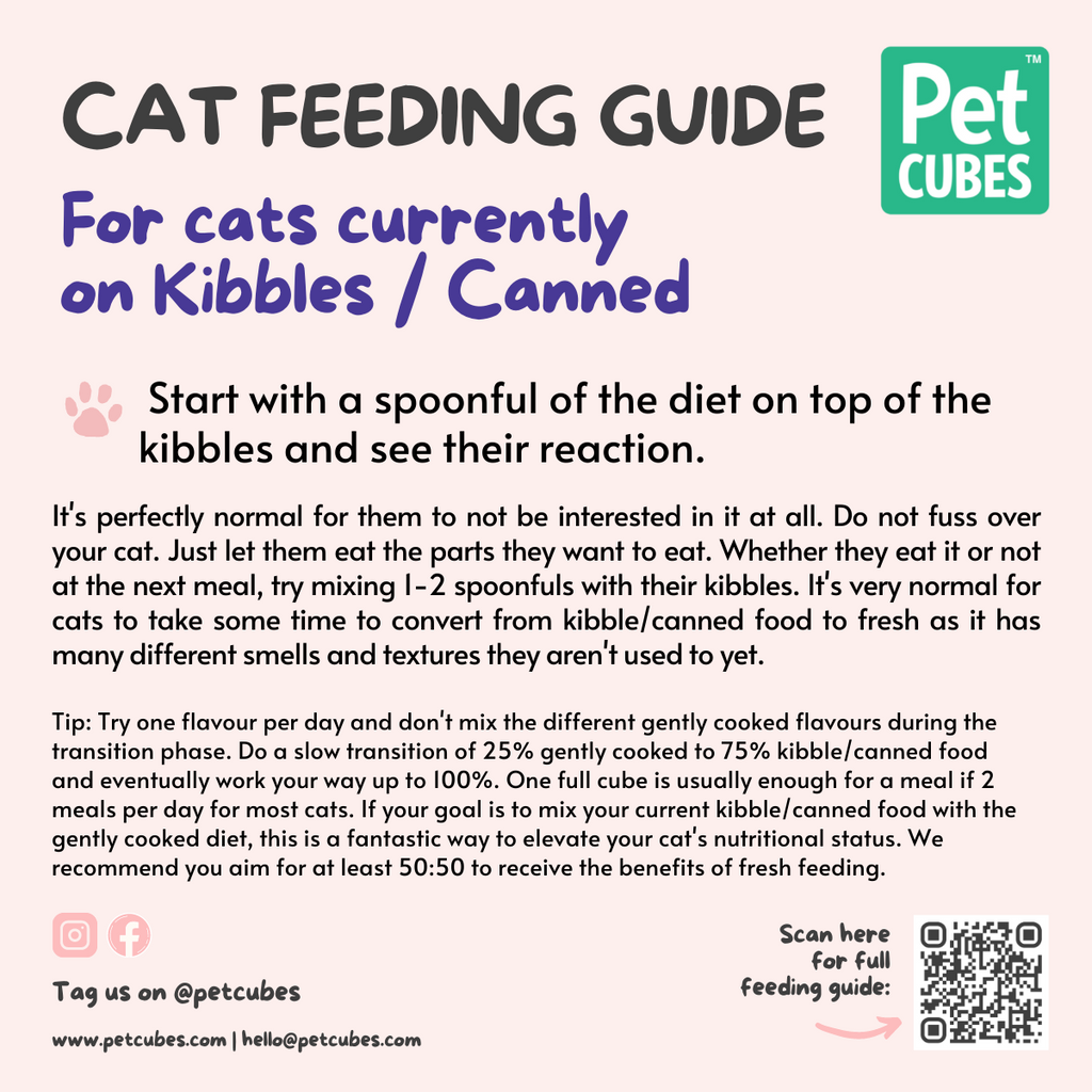 cat transition to petcubes is one flavour per day, do not mix different gently cooked recipes during transition phase