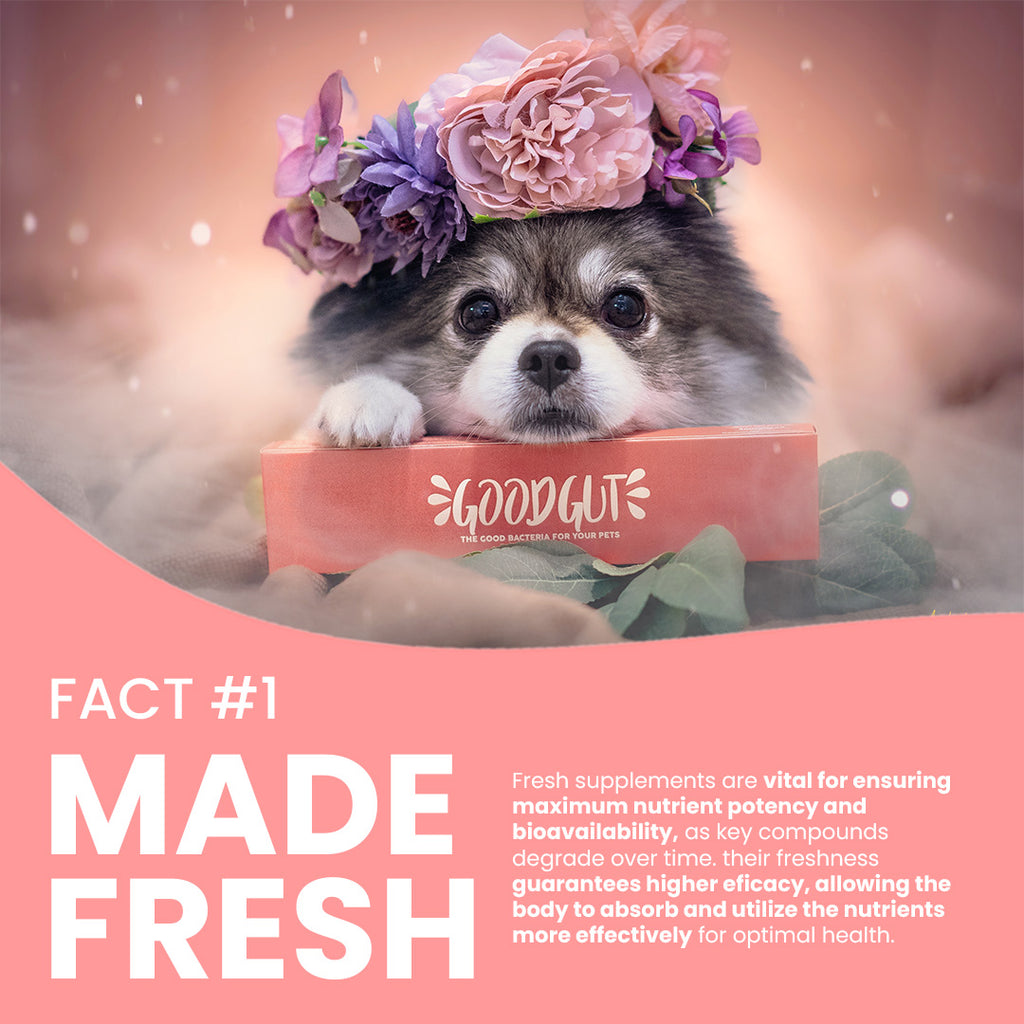 Good Gut Bye Diarrhea Supplement Gel for Cats and Dogs within 24 Hours