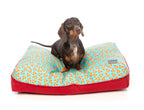 FuzzYard Dog Bed Big Dreamer Pillow, Pizza Lyf - 3 sizes