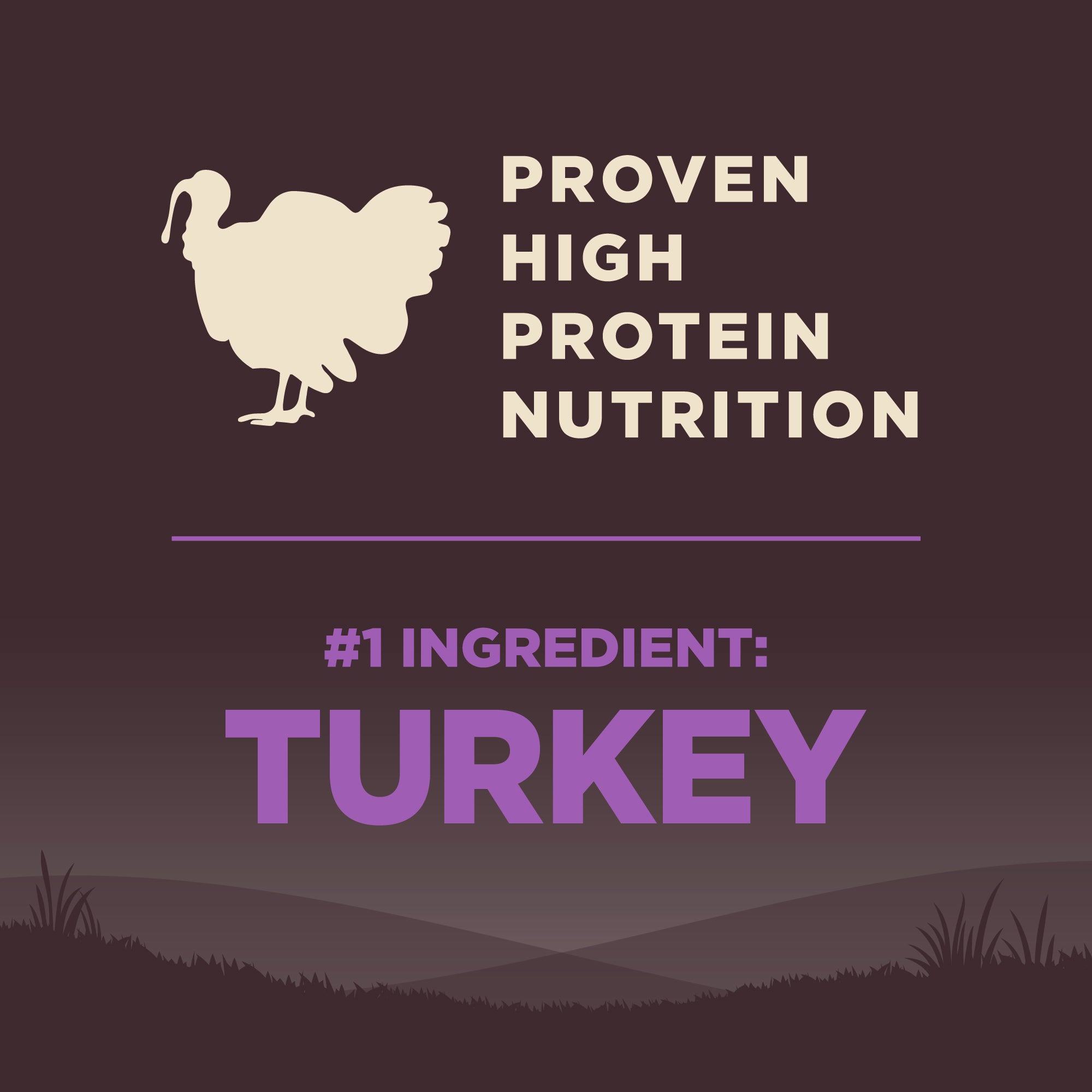 Wellness Core Age Advantage Adult (Senior) Dry Dog Food first ingredient is turkey