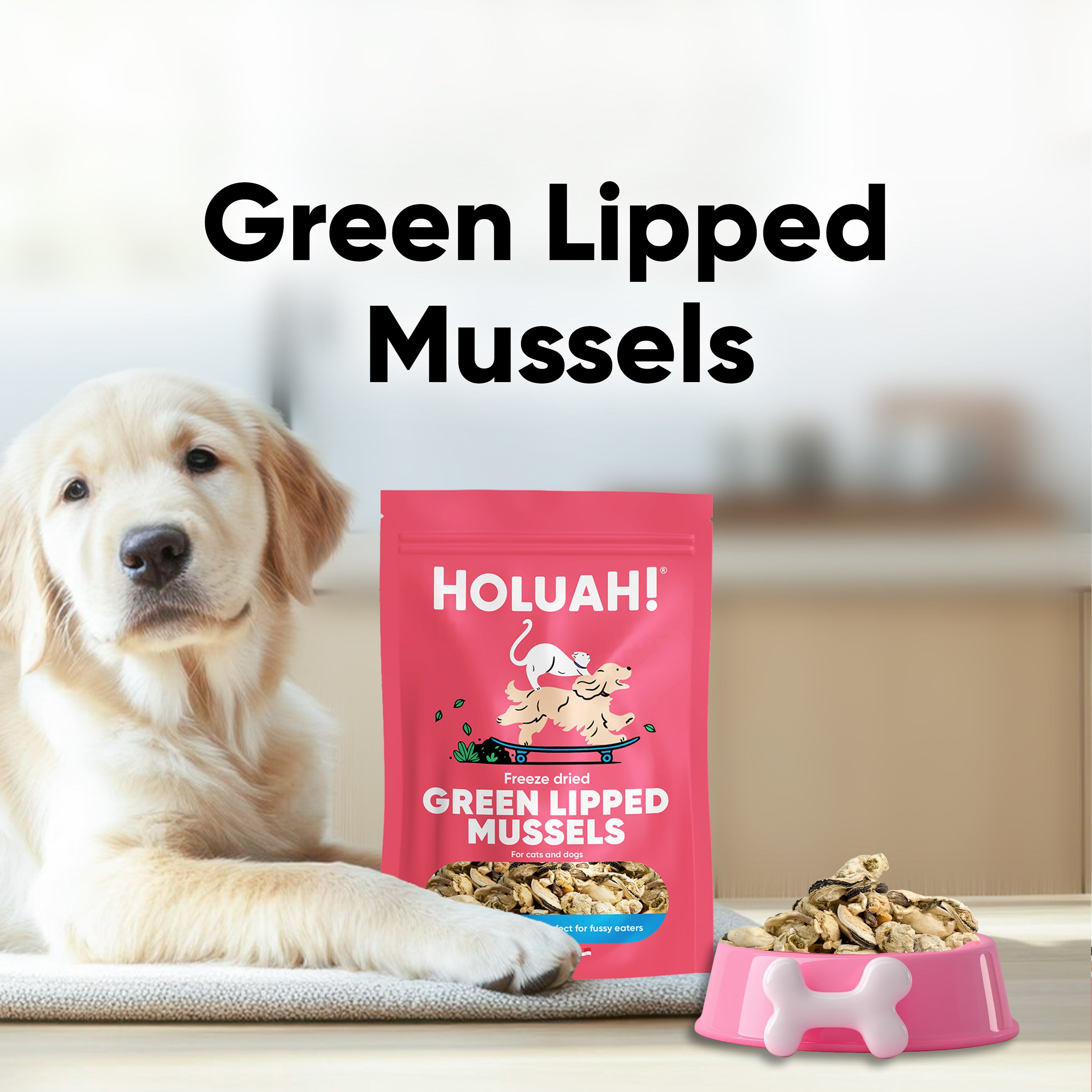 Holuah Freeze Dried Pork Heart Treat for Dogs and Cats