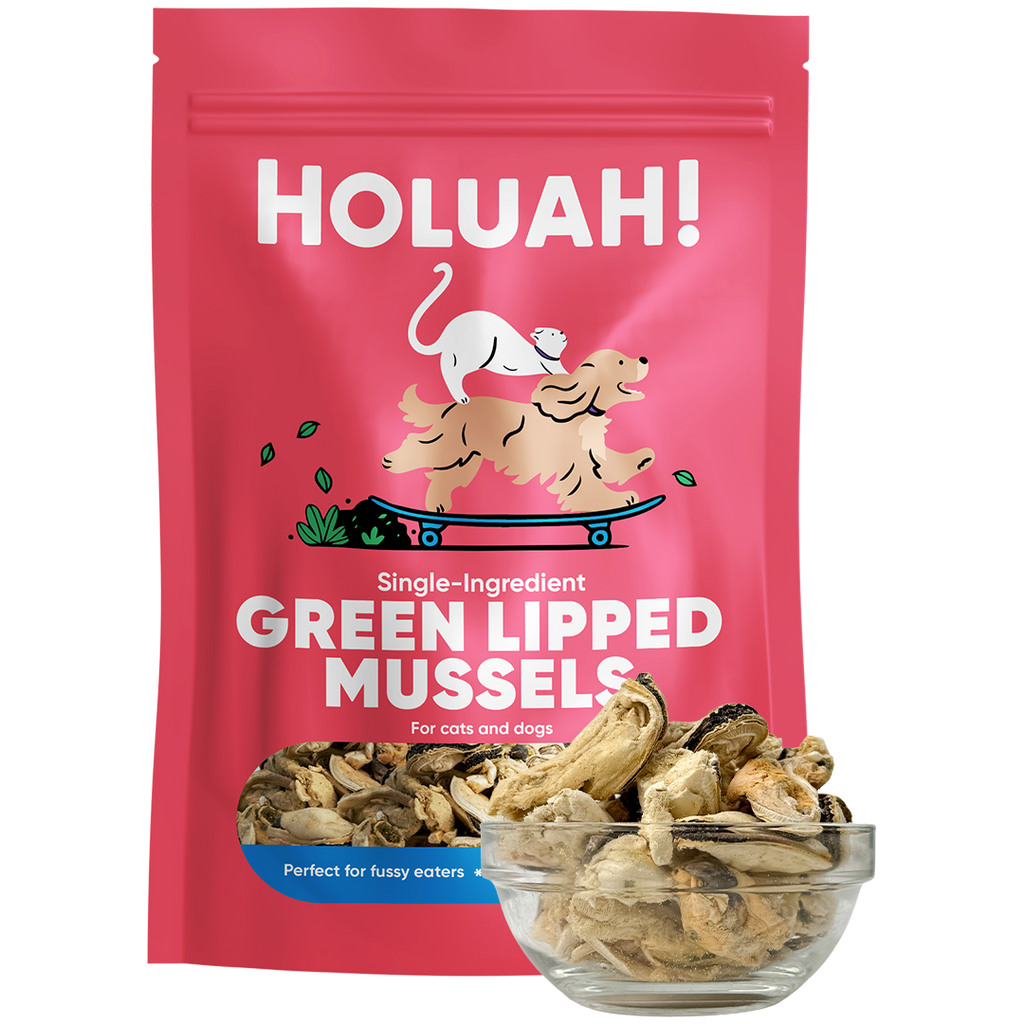 Holuah Freeze Dried Green Lipped Mussels Treat for Dogs and Cats