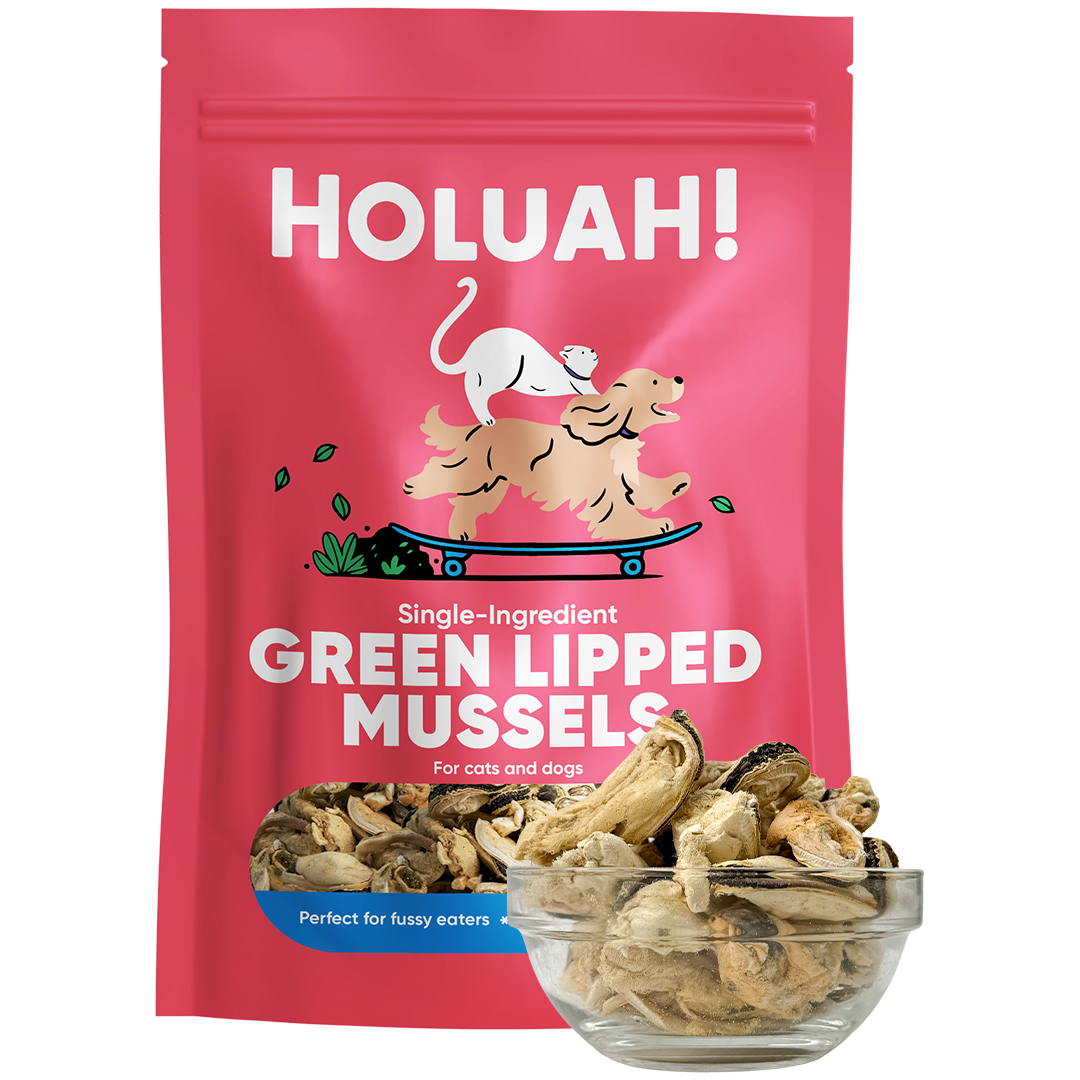 Holuah Freeze Dried Green Lipped Mussels Treat for Dogs and Cats