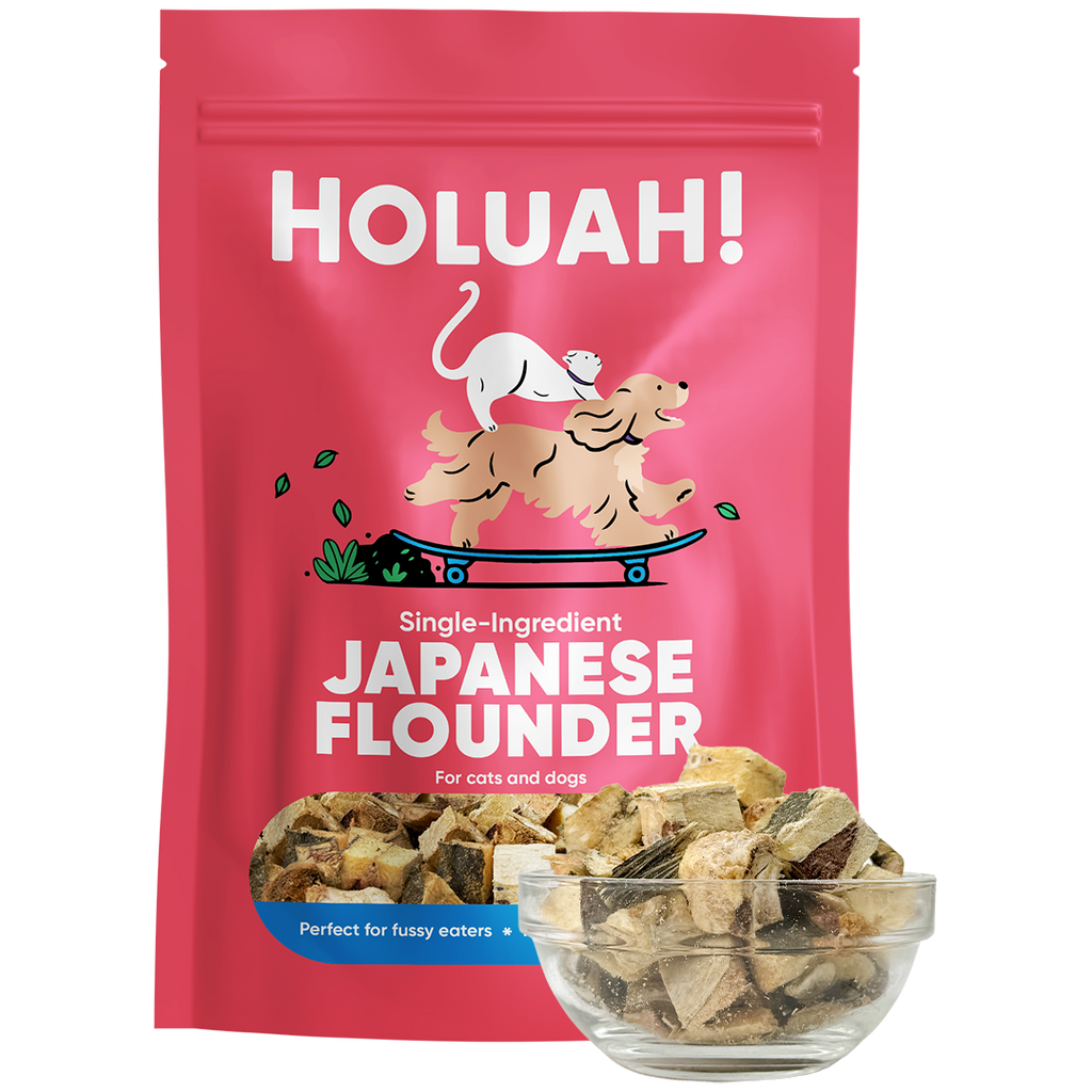 Holuah Freeze Dried Japanese Flounder Treat for Dogs and Cats