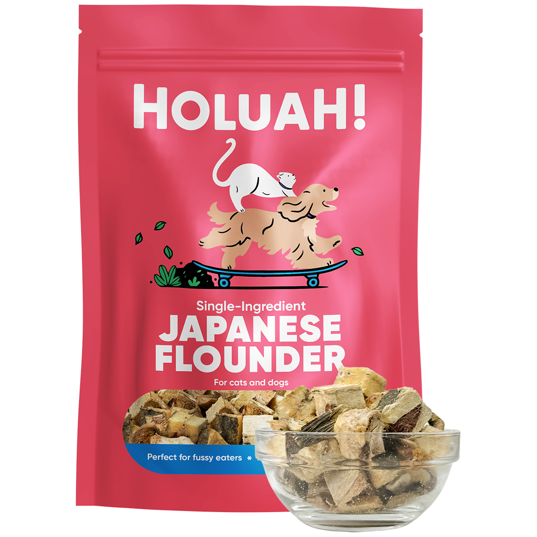 Holuah Freeze Dried Japanese Flounder Treat for Dogs and Cats