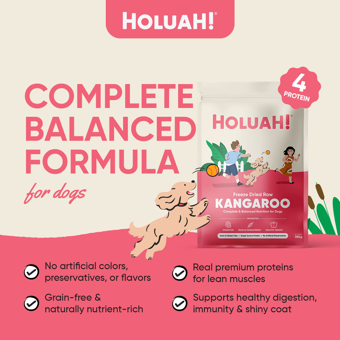 Holuah! Complete & Balanced Freeze Dried Raw Dog Food - 4 recipes
