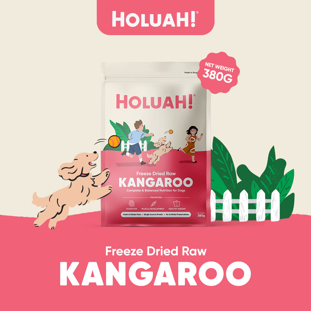 Holuah! Complete & Balanced Freeze Dried Raw Dog Food - 4 recipes