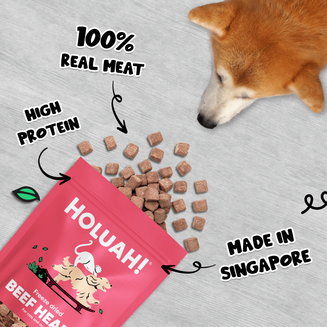Holuah Freeze Dried Beef Heart Treat for Cats and Dogs