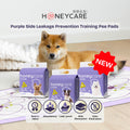 Honeycare purple side leakage prevention training pee pads with a dog in the background