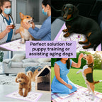 pee pad being used for car rides, picnics, vet visits and for training puppies