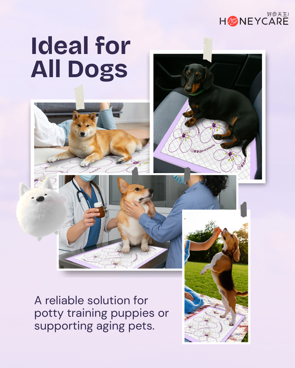 Advertisement for Honeycare product showing dogs in various settings with text about potty training solutions.