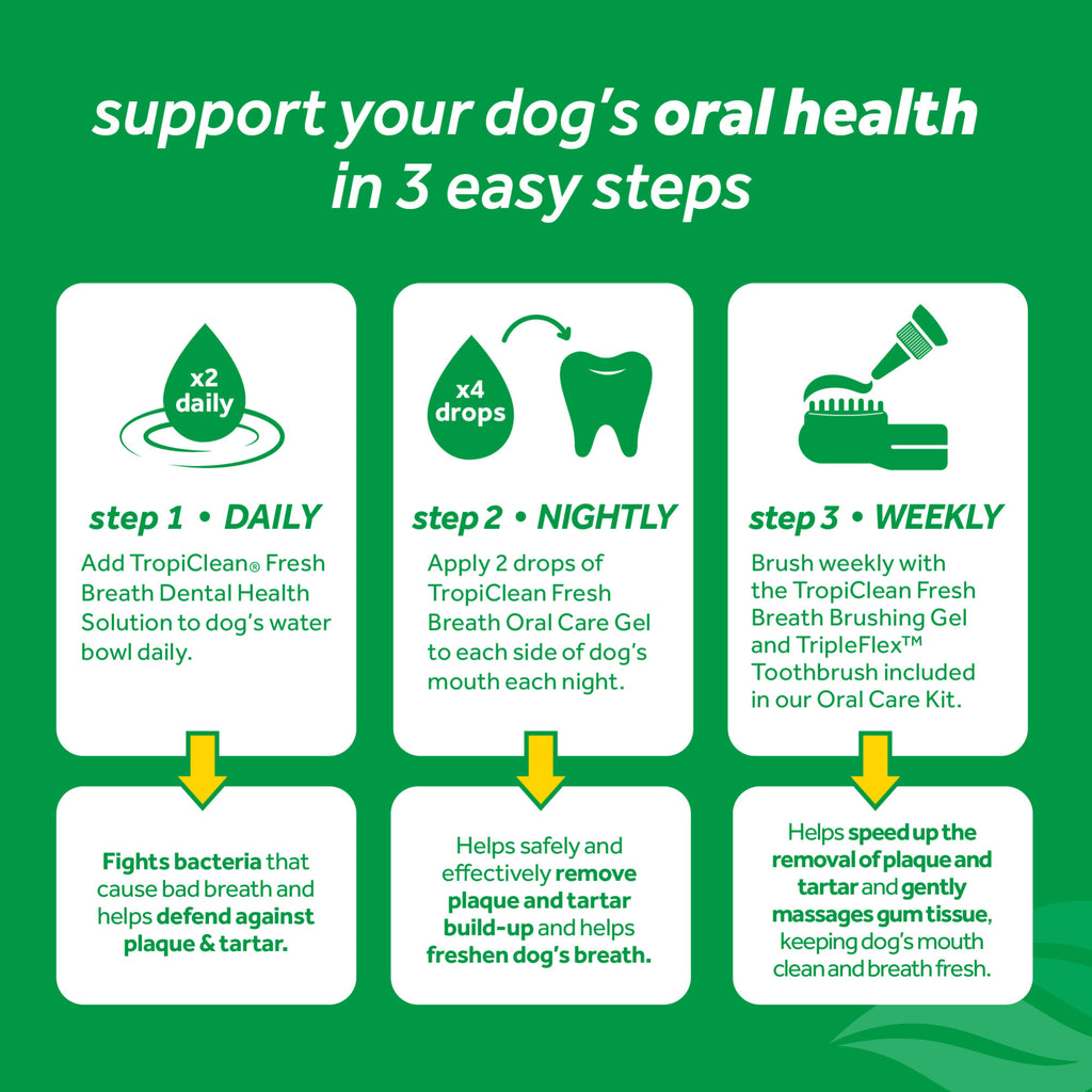 An informational graphic on a green background with white text reading 'support your dog's oral health in 3 easy steps.' It shows three white panels with icons and text for daily, nightly, and weekly oral care steps, plus yellow arrows pointing to callout boxes.