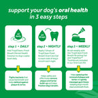 An informational graphic on a green background with white text reading 'support your dog's oral health in 3 easy steps.' It shows three white panels with icons and text for daily, nightly, and weekly oral care steps, plus yellow arrows pointing to callout boxes.
