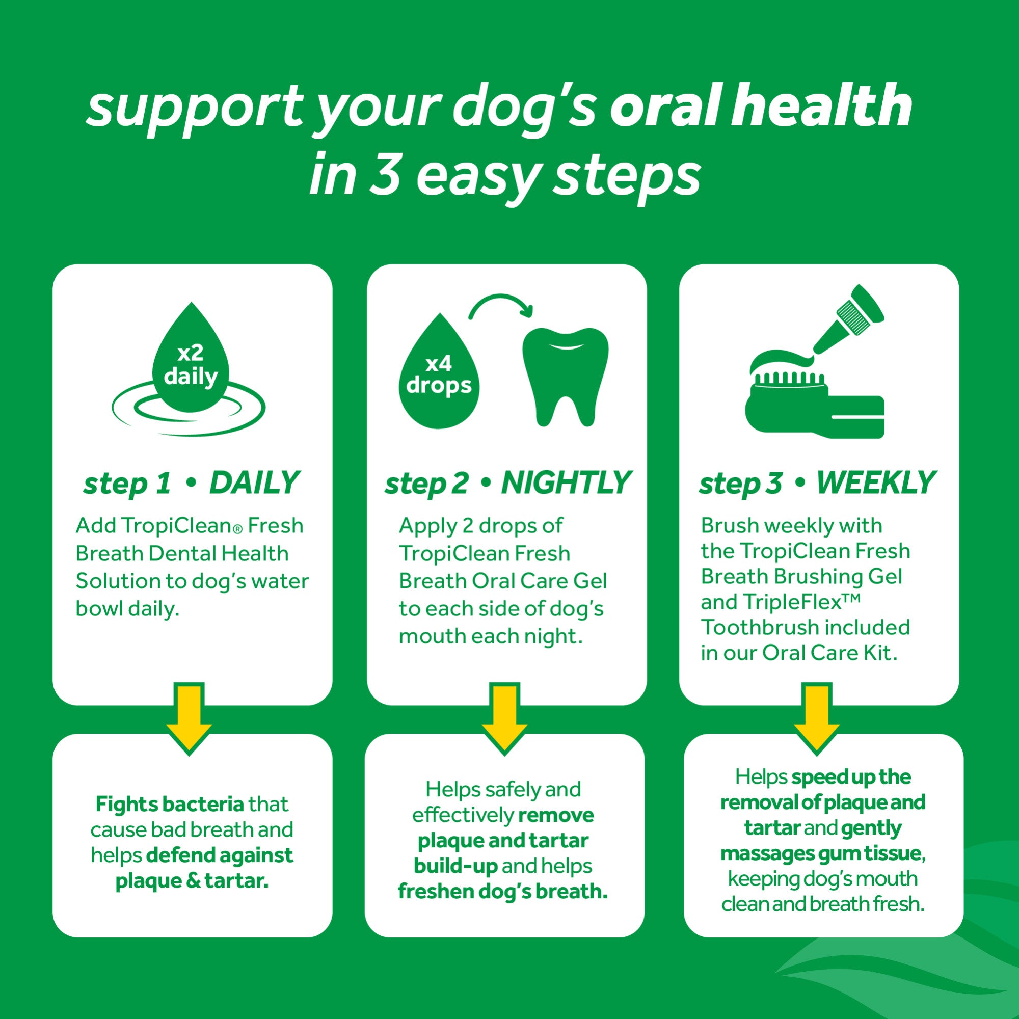 An informational graphic on a green background with white text reading 'support your dog's oral health in 3 easy steps.' It shows three white panels with icons and text for daily, nightly, and weekly oral care steps, plus yellow arrows pointing to callout boxes.