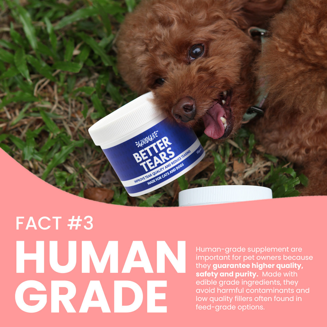 Good Gut Bye Diarrhea Supplement Gel for Cats and Dogs within 24 Hours