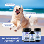 Kala Health Arthrix For Dogs & Cats Joint Maintenance | 3 sizes